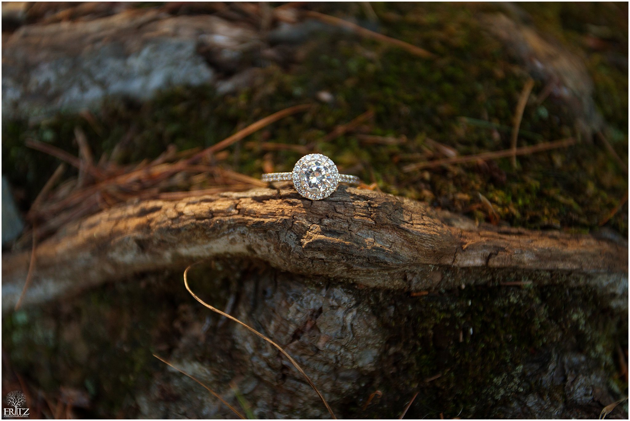 Giuffrida Park Engagement